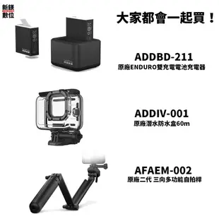 GoPro Hero 10 Black 全新 台灣有保固/含發票可開統編 極限運動相機攝影機 15個月保固