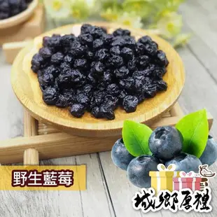 野生藍莓粒 無糖藍莓 60g隨身包 藍莓果乾 藍莓 水果乾 果乾 無糖果乾 豐富的花青素【甜園】