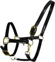 Eigell Horse Halter, Horse Rope Training Halter, Lightweight Chin and Throat Snap Halter for Pasture Practice Racecourse Grassland