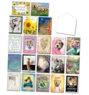 , Best Wishes, 20 All Occasion Cards Assortment Box with Envelopes, Greeting
