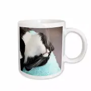 3dRose sleeping tuxedo cat Mug