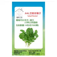 在飛比找momo購物網優惠-【蔬菜工坊】A46.芝麻菜種子(箭生菜圓葉種)