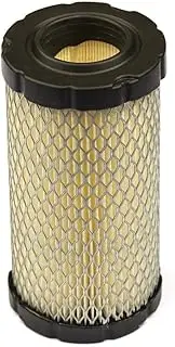 [Briggs & Stratton] 793569 Round Air Filter Cartridge