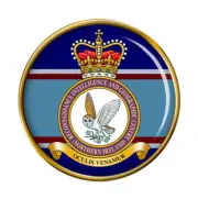 Reconnaissance Intelligence Centre, RAF Pin Badge