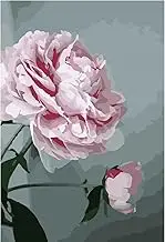 YXBOMG Pink Peony Flower # 5 DIY Paint by Numbers for Adults Beginner, Adult Paint by Number Kits 16" x 20" / 40 x 50cm, Drawing Paintwork Paintbrushes Craft