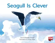 Seagull is Clever