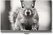 LQPMNK Metal Card Case, Light Gray Squirrel Print Professional Card Case Premium Card Case Lightweight Card Holder Pocket Card Case, style