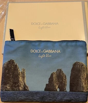 dolce & gabbana light blue trousse/pouch