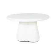 Norfolk Indoor Concrete Plaster Coffee Table - Indoor Coffee Tables