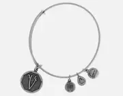 NEW Alex and Ani Initial V Letter Bracelet Rafaelian Silver Finish Bangle BNIB
