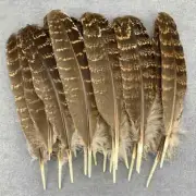 10-100 Pcs Precious Natural Pheasant Feathers 15-20 CM DIY Decoration For Crafts