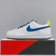 NIKE COURT VISION LO NN 男生 白色 皮革 舒適 透氣 運動 板鞋 休閒鞋 DH2987-103