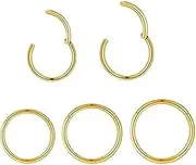 [SEEDRILL] 5pcs Hypoallergenic Nose Rings Hoops for Women Men 16G/18G/20G 316L Surgical Steel Hinged Clicker Segment for Nostril Septum Helix Cartilage Daith Tragus Conch Rook Lip Ear Lobe Earrings