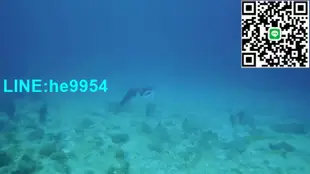 【小楊嚴選】Olympus PT059相機防水殼 TG6潛水殼補光燈YS-D2閃燈廣角攝影套裝