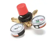 Multiplex Regulator Primry Co2 Dr2/4 Coke 1700501-ORA - Genuine OEM Replacement