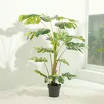 【YU LIVING】仿真龜背芋樹盆栽 人造盆栽 綠色植物裝飾盆栽(150CM/綠色)