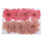 10pcs Handmade Pressed Dried Flowers Cherry Blossom for DIY Phone Case Decor