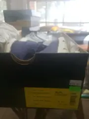 cole haan zerogrand