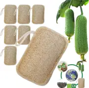 6 Pack Organic Loofah Sponge 100% Organic Biodegradable And Compostable, Natural Environmental Protection, Kitchen, Bathroom, Camping