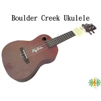 在飛比找蝦皮商城優惠-烏克麗麗 Ukulele 雙音孔 美國 品牌 23吋 桃花心