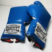 Casanova Boxing Gloves Made In Mexico 14Oz