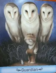 SEALED NEW ~ GENTLE CREATURES WISDOM CARDS & BOOK ENCOUNTERS STORIES & LESSONS