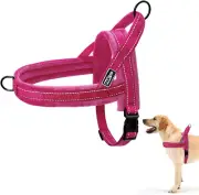 Dog Harness No Pull for Small and Medium Dogs, Soft Flannel Padded Step in Refle