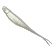 ZMan Lure StreakZ Soft Plastic Lure 3.75in 6 Pack