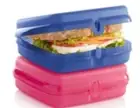 Tupperware Sandwich keeper Set Of 2