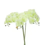 3Pcs 31" 7 Heads Artificial Orchid Stems Faux Silk Phalaenopsis, Green