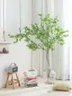 吊鐘仿真植物假樹枝樹干裝飾室內客廳侘寂風仿生綠植大型落地擺件