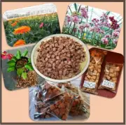 100% NATURAL Coconut Husk Small Chips Fiber For Orchids,Anthurium,Plant Growing