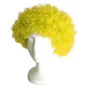 Afro Curly Costume Wig