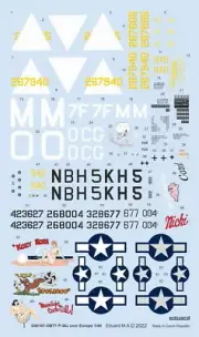 Eduard 1/48 Lockheed P-38J Lightning Over Europe Decals for Tamiya kits
