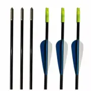 Ten x 31 inch Fiber glass Arrows Archery Compound Bow Target Fiber Bows 6mm Dia.