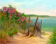 BEACH ROSES AND DUNE FENCE Cape Cod ART PRINT from Oil Painting by P. Tarlow