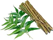 OMC Natural Chew Neem Stick (10 PCS) Datun Brush for Strong Teeth Neem Datun No Germs 6 INCH (10 pcs)