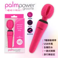 在飛比找蝦皮購物優惠-潘美爾 PalmPower 小粉紅按摩棒 愉悅 USB充電 