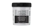 Winsor & Newton 237ml Professional Acrylic Modelling Paste Texture Effects Maker