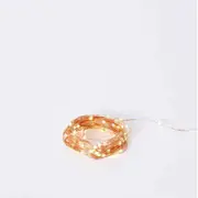 E Style Luminous Bright 10m String Light Indoor/Outdoor Home Lighting Copper