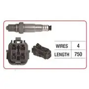 RAE Oxygen Sensor - OX781