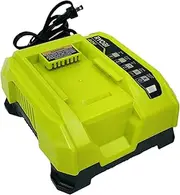 [RYOBI] 40V Lithium-Ion Rapid Charger - OP406AVNM