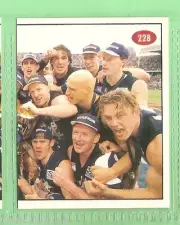1996 AFL SELECT STICKER #228 , CARLTON BLUES, 1995 FINALS SERIES HIGHLIGHTS