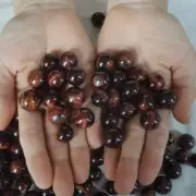 2.2LB 195Pcs Natural Red Tiger Eye Quartz Crystal Sphere Ball Healing 12-17mm