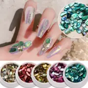 Colorful Nail Art Shell Pieces Shell Fragments Ornaments Irregular Fragments DIY