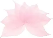 uxcell 100 Pcs Light Pink Skeleton Leaves, 2"- 3" Rubber Tree Scrapbooking Dried Pressed Leaves Vein for Photo Albums Crafts Wedding Cards Arrangements Decor Gifts