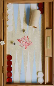 [Nine Fair Design] Coral Backgammon Set