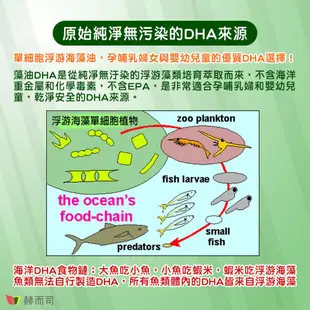 【赫而司】金巧®軟膠囊(升級版DHA藻油+磷脂絲胺酸PS)(60顆*1罐)懷孕婦哺乳嬰兒學生智能發育