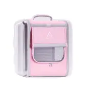 Cat Bag Go Out Portable Cat Backpack Dog Large Capacity Two Cat Box Space Capsule