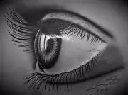 Realistic Eye Drawing-side View, Metallic Print